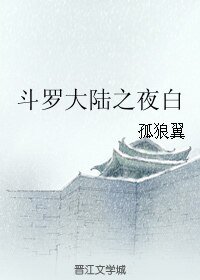 (BL/斗羅大陸同人)斗羅大陸之夜白