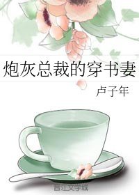 《炮灰总裁的穿书妻》